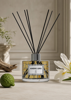Ambre Gris