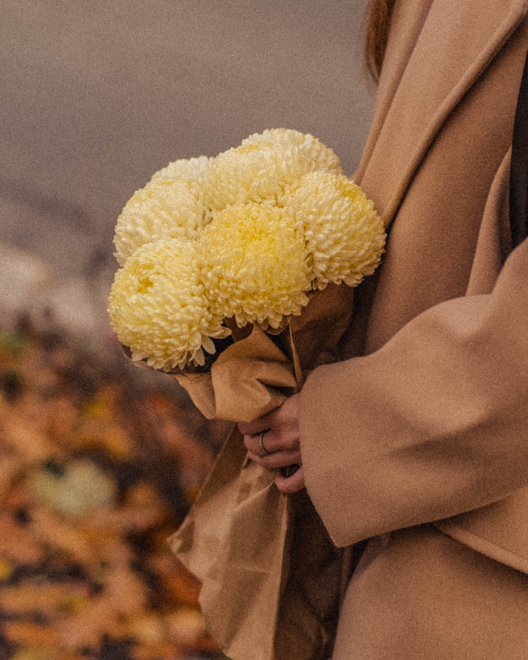 Autumn Days