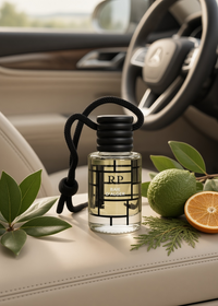 Baie d'Alger Car Diffuser